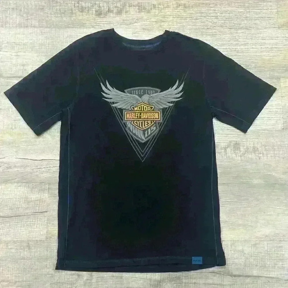 Harley Davidson Short Sleeve Tee Shirt Mens Sz Medium Moto Biker Street Normcore - Picture 1 of 16